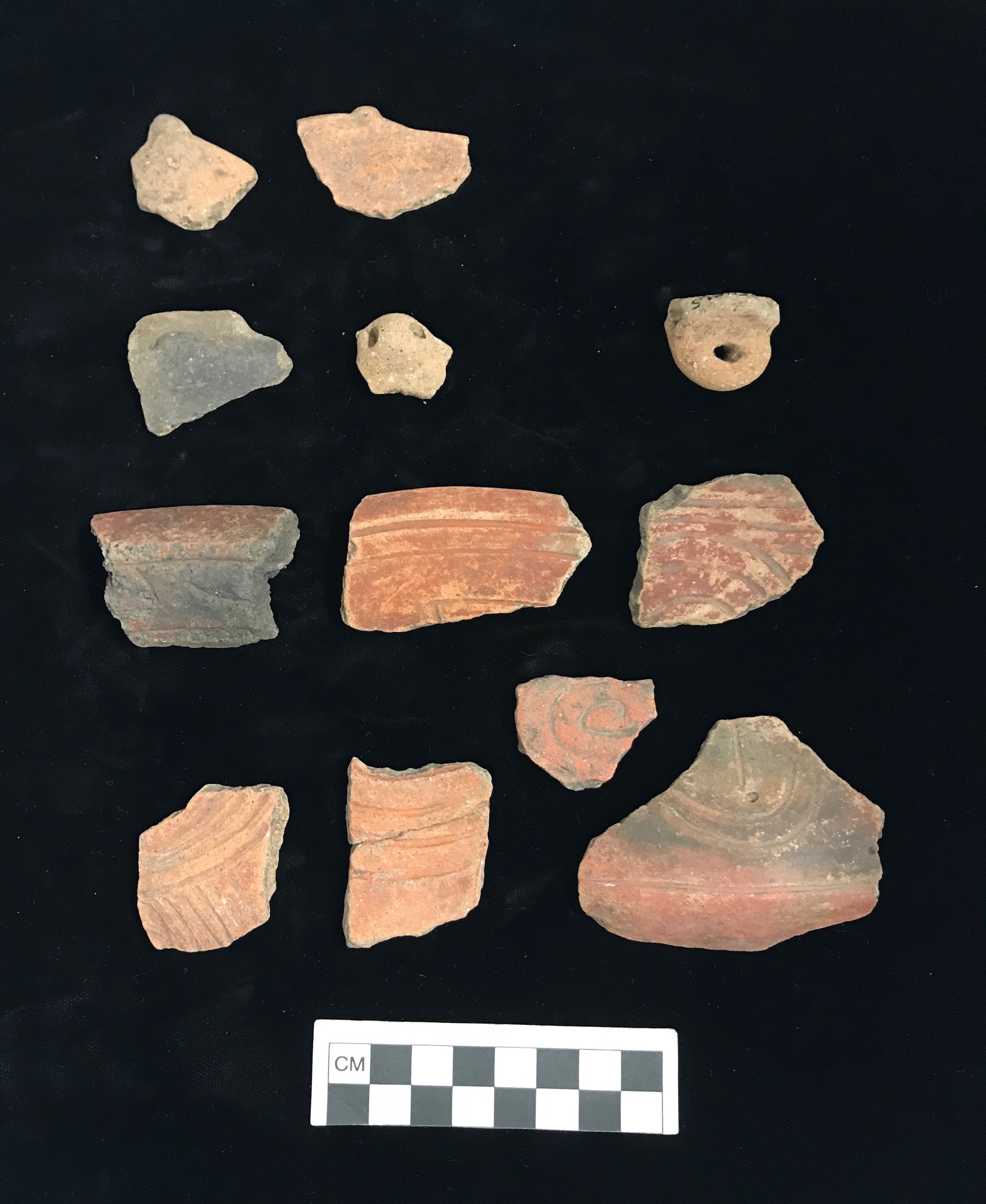 Plate VIII. PEARLS SIDE LUGGED, SIMON FLANGED AND BROAD LINE INCISED SHERDS. FLMNH Acc. Nos. 98004, 97990, 97991, 97992, 97994, 97995, 97996.