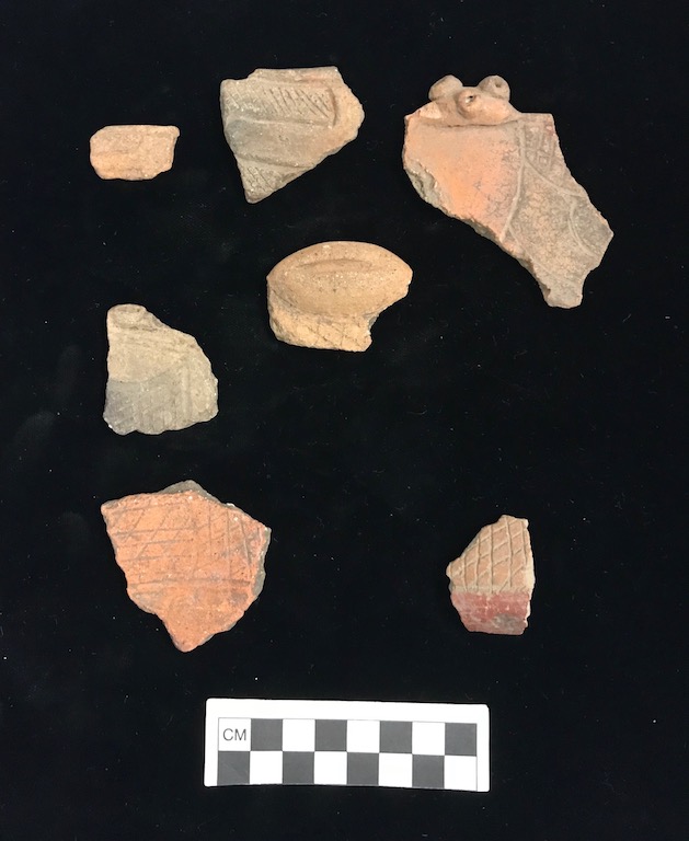 Plate V. PEARLS CROSS HATCHED SHERDS. FLMNH Acc. Nos. 97991, 97993, 97994, 97995.