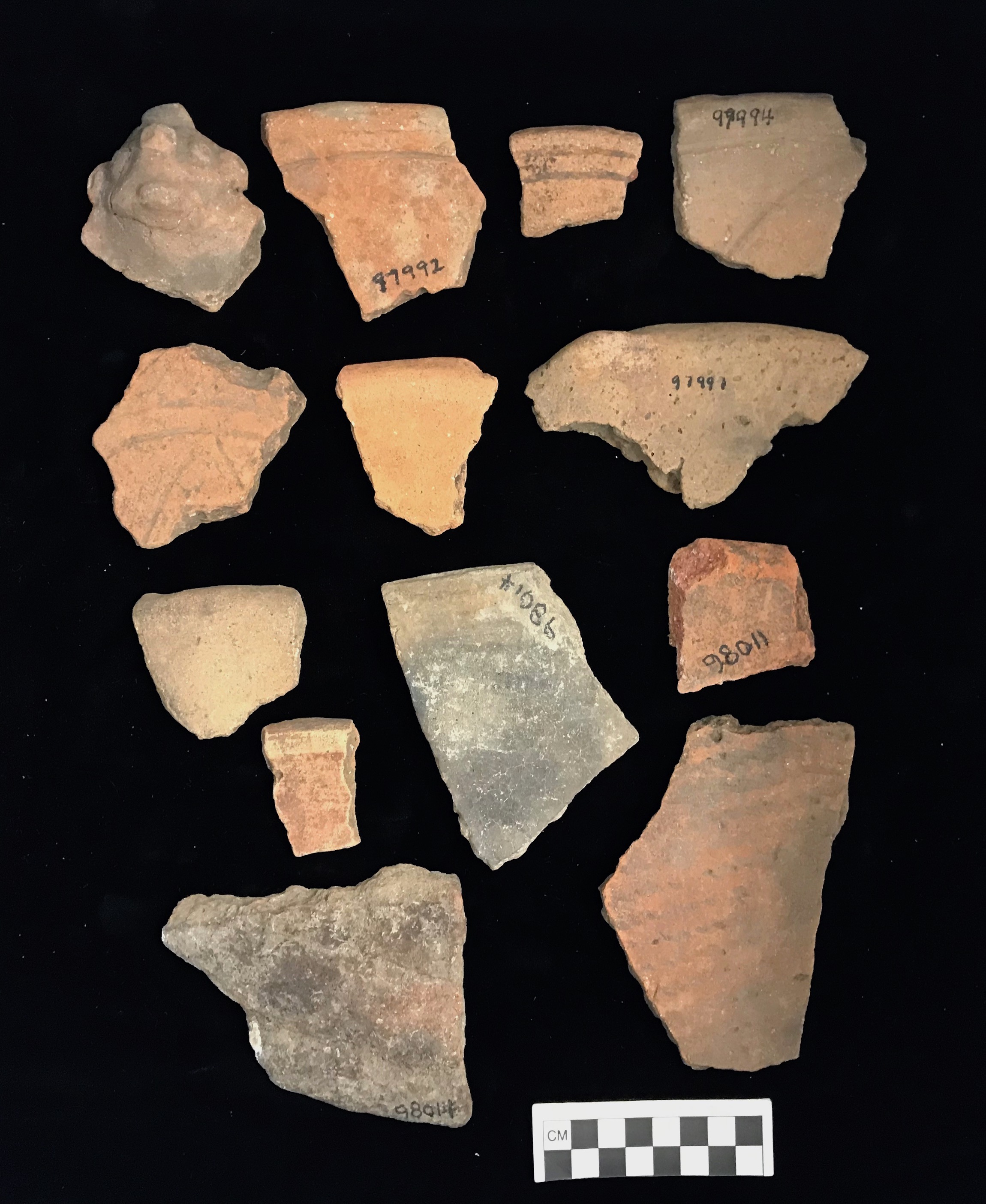 Plate XIV. GRIDDLE SHERDS. Griddle-Adorno (1), Griddle-Incised Leaf Impressed (2),Griddle Incised (3-4), Griddle (5 & 12), Griddle-Type B Plain (6),Griddle-Rim Lug (7), Griddle-Type A Plain (8), Griddle-Type C (9), Griddle Suazey (10), Griddle Red-Painted(11), Griddle-Basket Impressed (13). FLMNH Acc. Nos. 98014, 98011, 97990, 97991, 97992, 97994, 97995, and 97996.