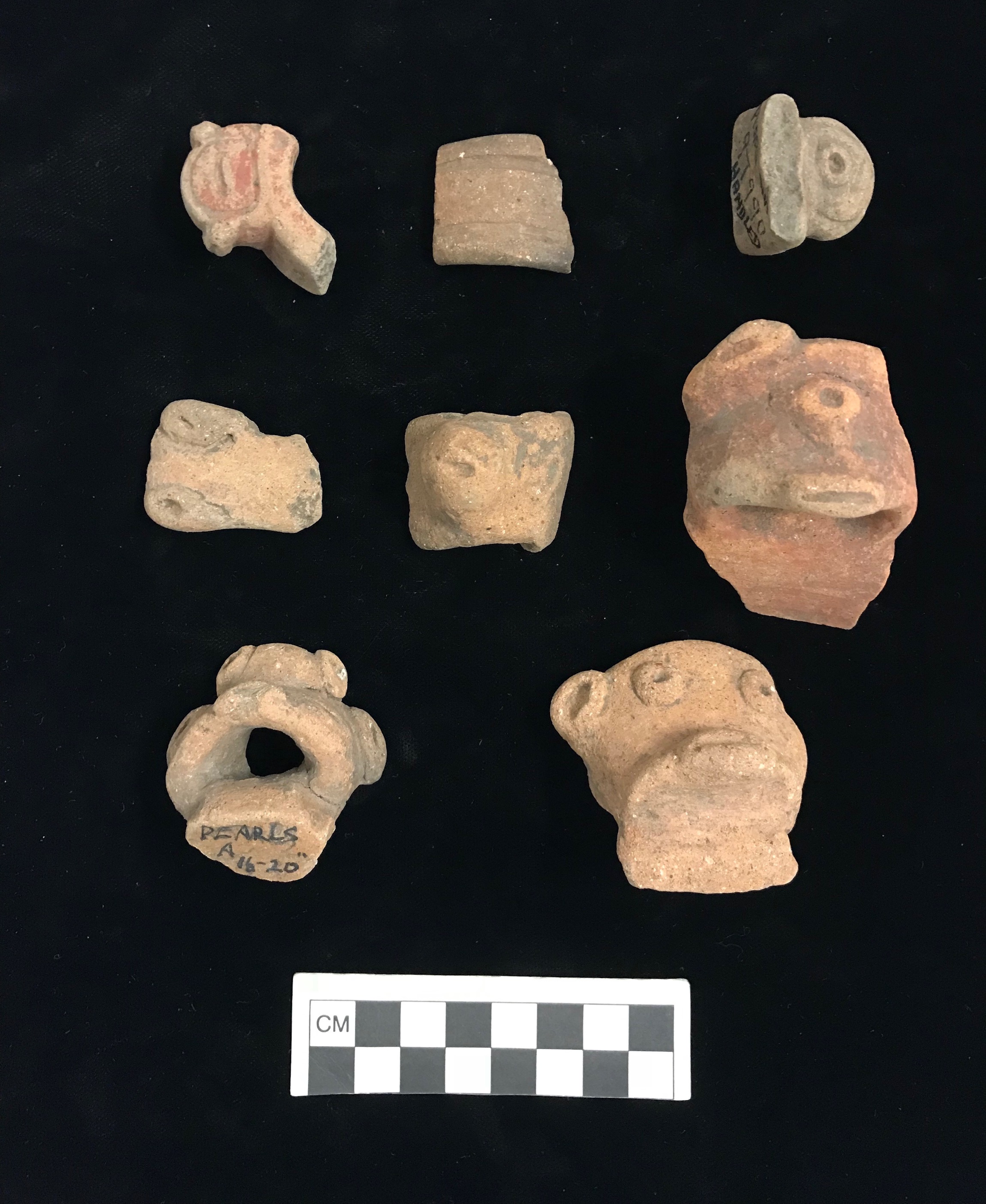 Plate XI. PEARLS AND SIMON WIDE HANDLED SHERDS. FLMNH Acc. Nos. 97990, 97991, 97994, and 97995.