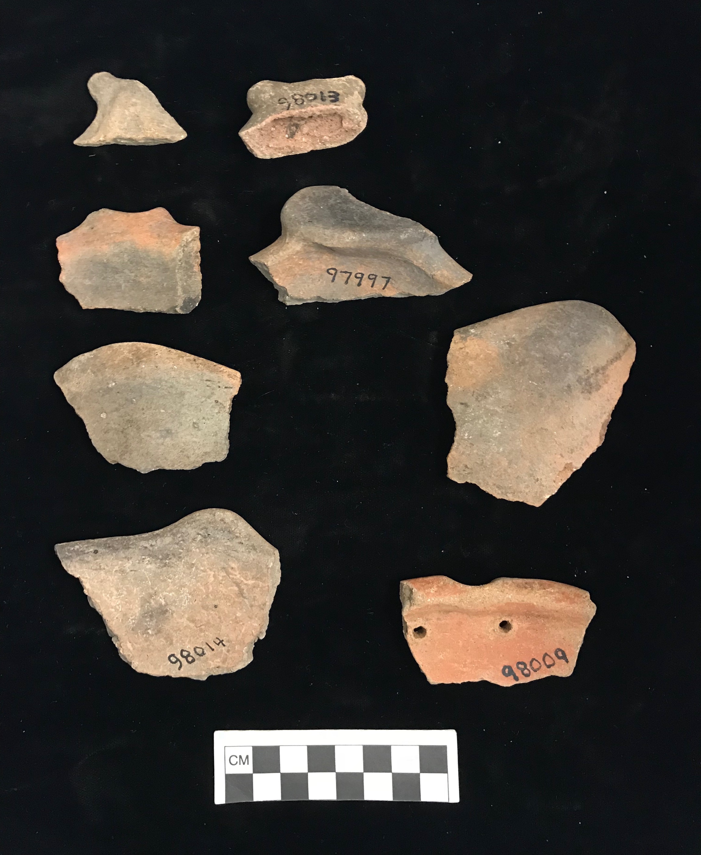 Plate XVII. CALIVINY RIM MODIFIED SHERDS. FLMNH Acc. Nos. 98009, 98013, 98014, and 97997. 