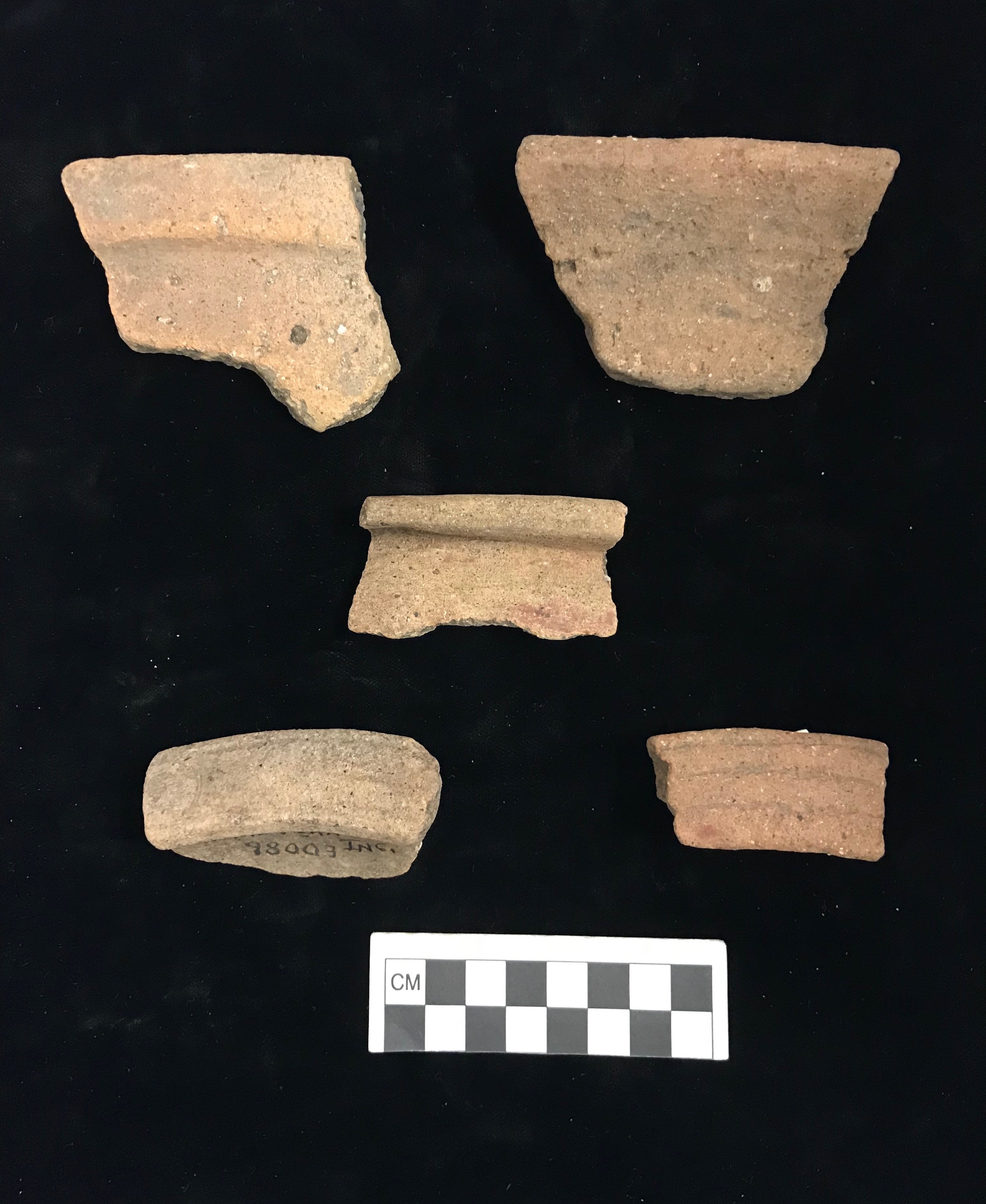Plate XVI. SALINE FLANGED AND FLANGE INCISED SHERDS. FLMNH Acc. Nos. 98002, 98003, and 98004.