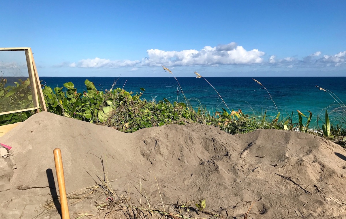 excavation near a beach