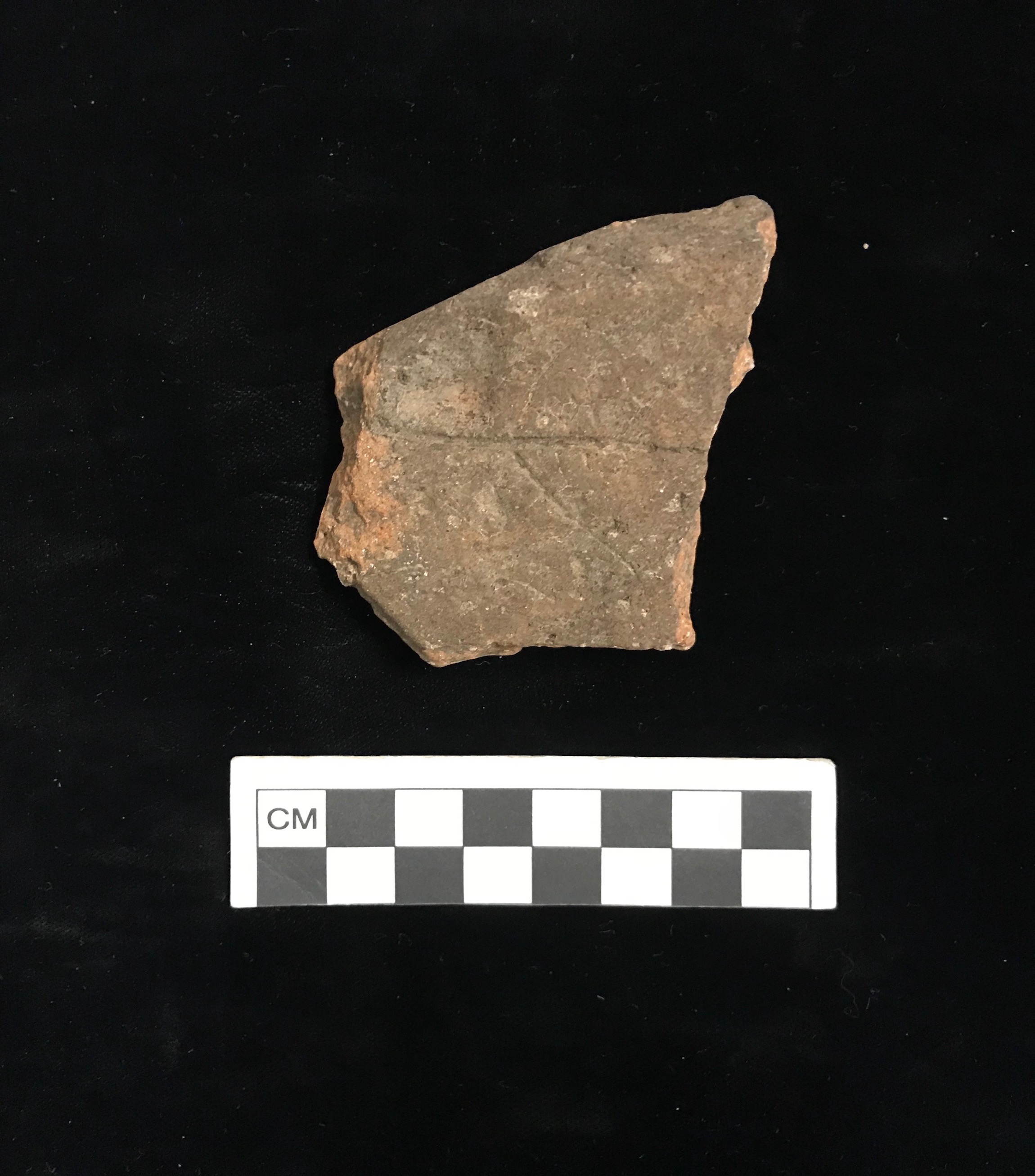 Griddle -Incised Griddle Sherd from Plate XIV showing leaf impression (not shown in Bullen 1964). FLMNH Acc. No. 97992.