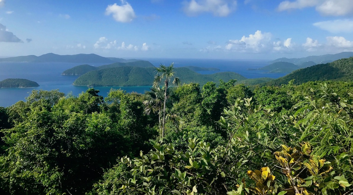 st. john usvi